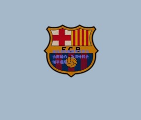 迪马济奥曝博韦与罗马协商解约，为海外转会铺平道路